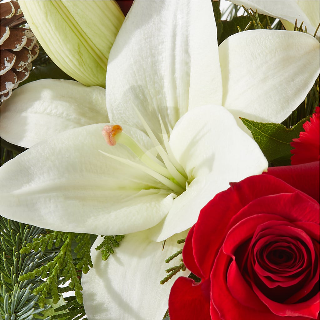 Oh So Jolly Bouquet –  Flowersdirect.net, Tontitown AR