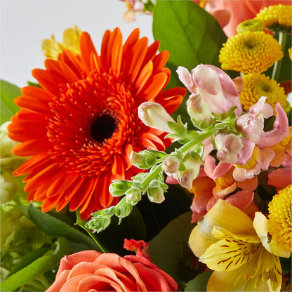 Autumn Sunshine Bouquet –  Flowersdirect.net, Tontitown AR