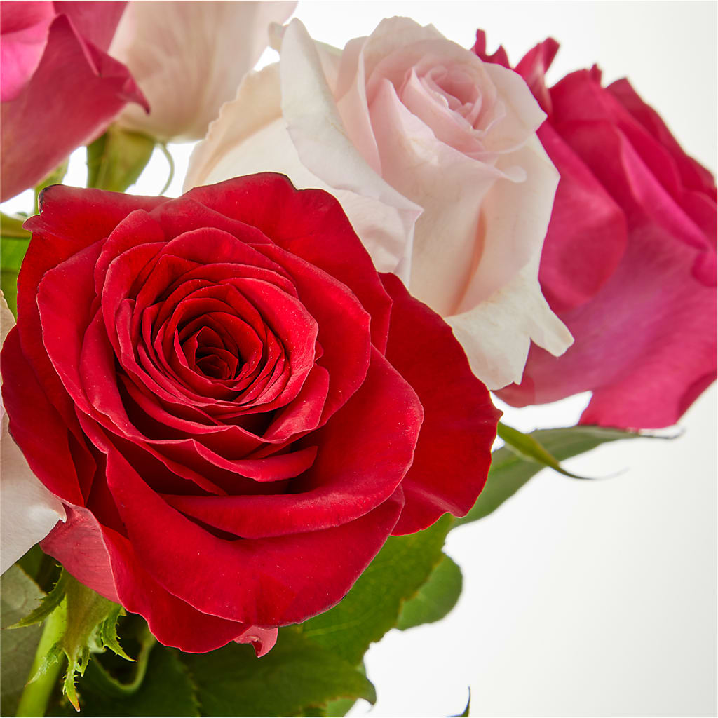 Charming Rose Bouquet –  Flowersdirect.net, Tontitown AR