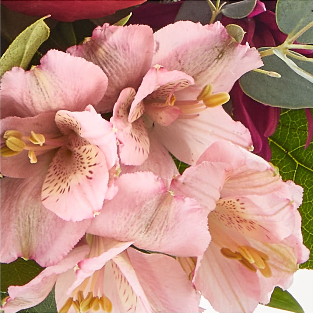 Berry Cobbler Bouquet –  Flowersdirect.net, Tontitown AR