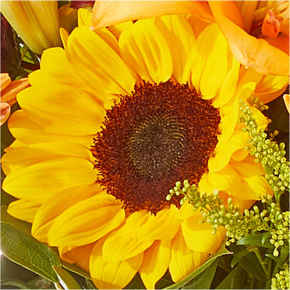 Seasons Change Bouquet –  Flowersdirect.net, Tontitown AR