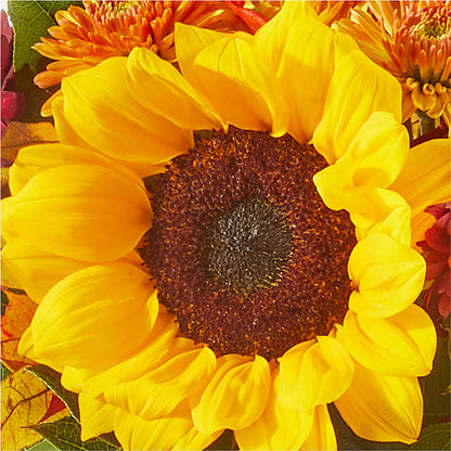 Sunny Side Bouquet –  Flowersdirect.net, Tontitown AR