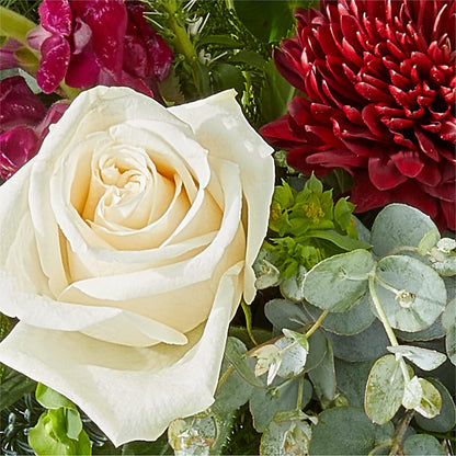 Cranberry Fizz Bouquet –  Flowersdirect.net, Tontitown AR