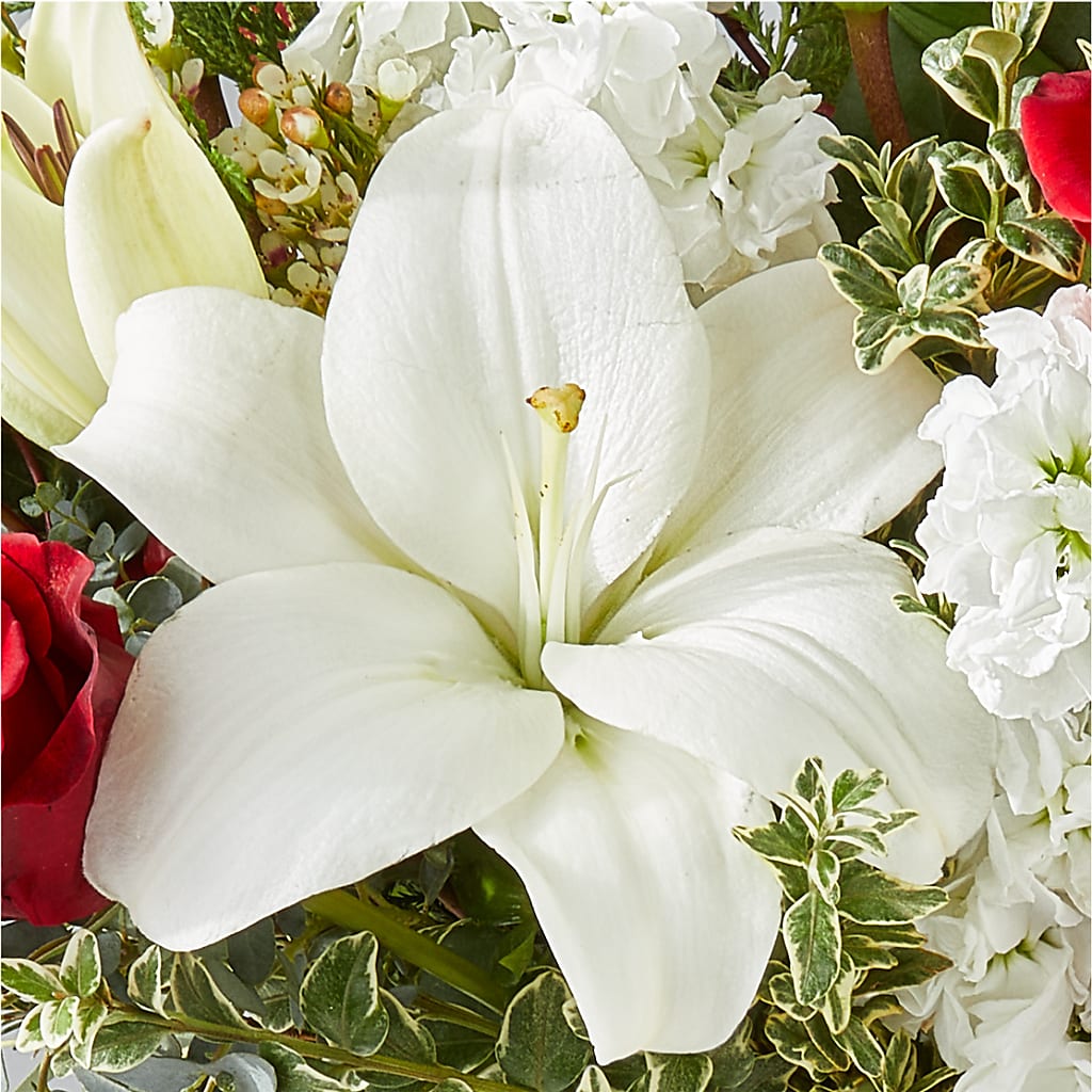 Twinkle Lights Bouquet –  Flowersdirect.net, Tontitown AR