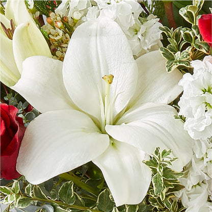 Twinkle Lights Bouquet –  Flowersdirect.net, Tontitown AR