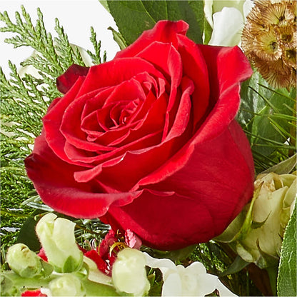 Deck the Halls Bouquet –  Flowersdirect.net, Tontitown AR