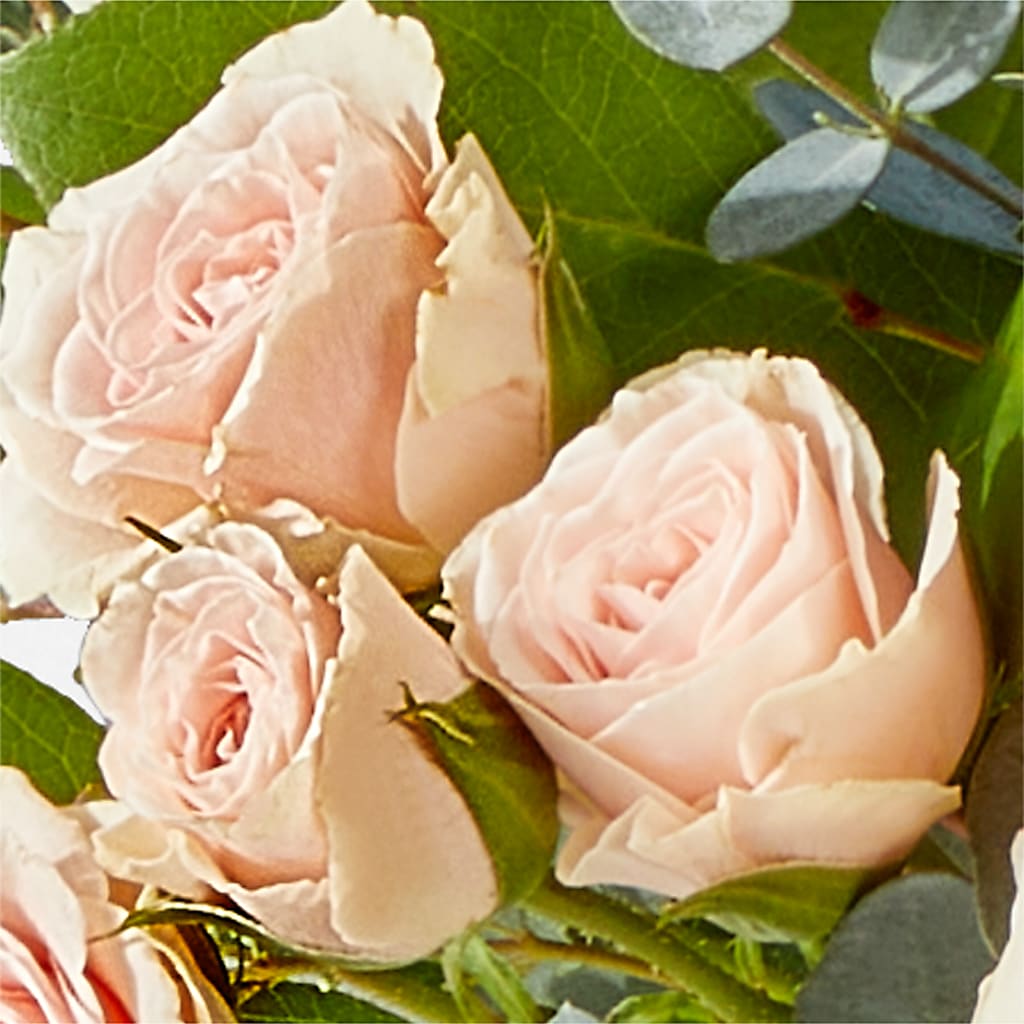 Inspired Bouquet –  Flowersdirect.net, Tontitown AR