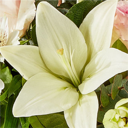 Ballet Slippers Bouquet –  Flowersdirect.net, Tontitown AR