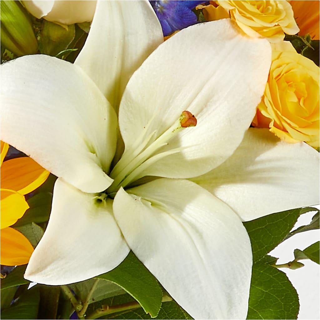 Wonderfully Sunny Bouquet –  Flowersdirect.net, Tontitown AR