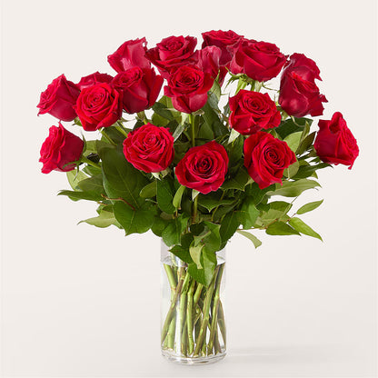 The One Red Rose Bouquet –  Flowersdirect.net, Tontitown AR