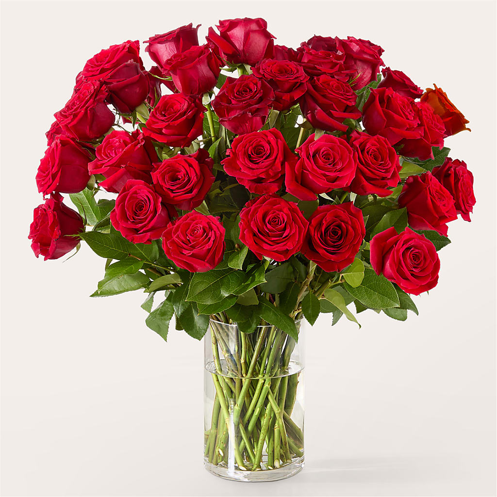 The One Red Rose Bouquet –  Flowersdirect.net, Tontitown AR