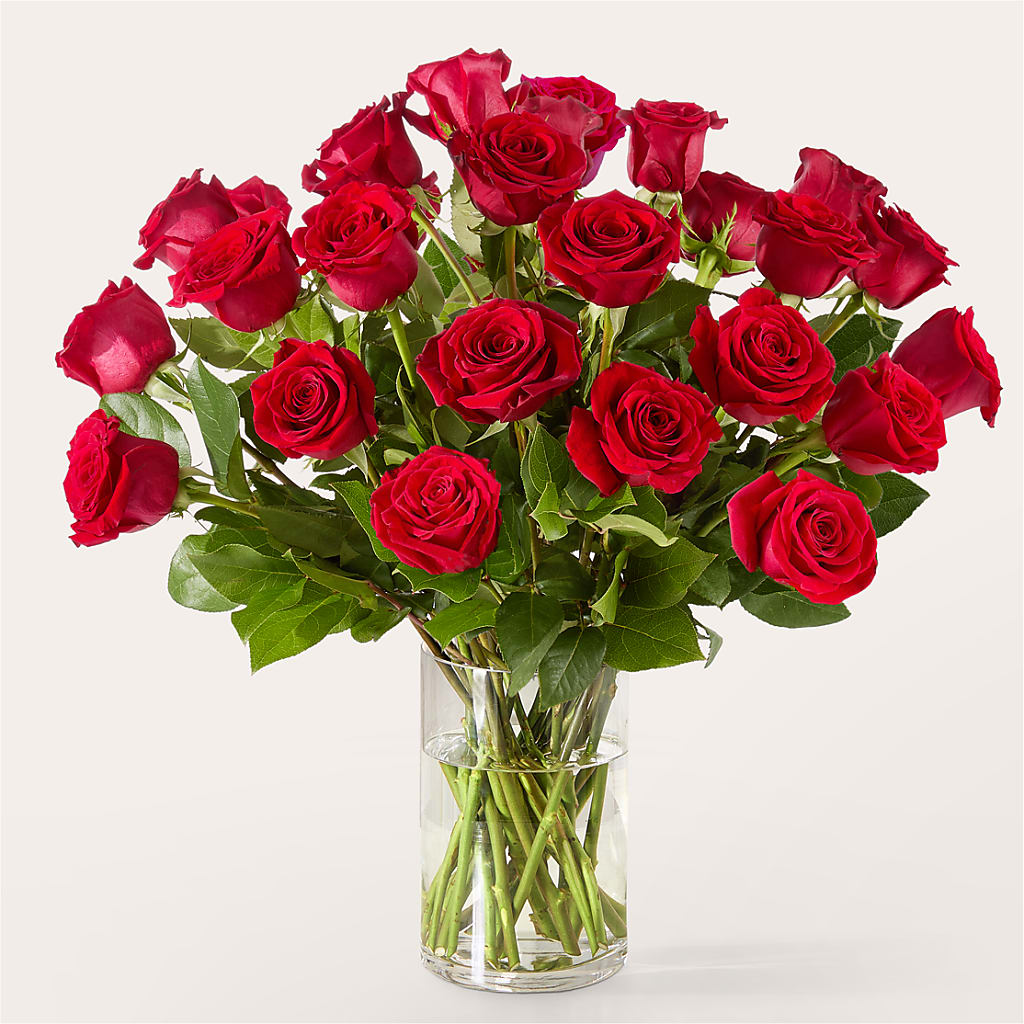 The One Red Rose Bouquet –  Flowersdirect.net, Tontitown AR