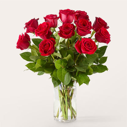 The One Red Rose Bouquet –  Flowersdirect.net, Tontitown AR
