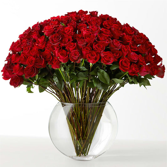 The Idealist –  Flowersdirect.net, Tontitown AR