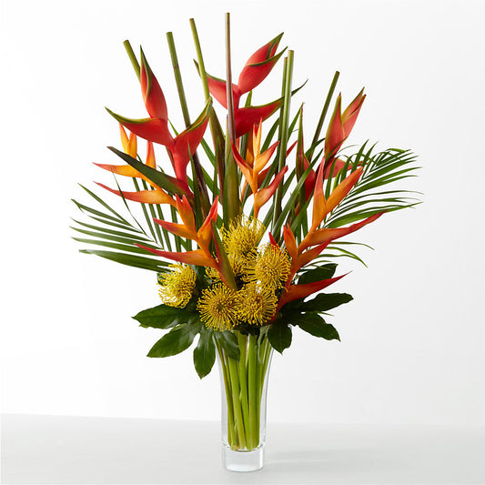 The Drama –  Flowersdirect.net, Tontitown AR
