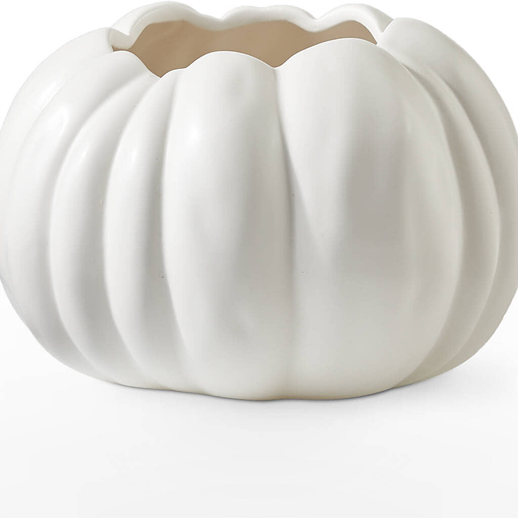 Autumn Air Pumpkin Bouquet –  Flowersdirect.net, Tontitown AR